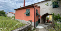 Bovecchio (SP) – terratetto di borgo con grande giardino e cantine