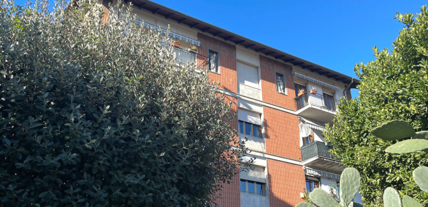 Migliarina – arioso quadrilocale con balconate e posto auto